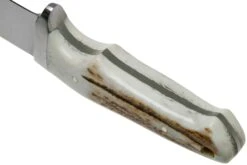 Böker Integral II Stag 123541 Hirschhorn, Jagdmesser -Böker || Spyderco || Cold Steel Verkaufsgeschäft BO123541 04 boker