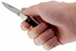 Buck 503 Prince 0503RWS-B, Palisanderholz -Böker || Spyderco || Cold Steel Verkaufsgeschäft BUCK0503RWS B 05 buck 503 prince knife buck0503rws b 05