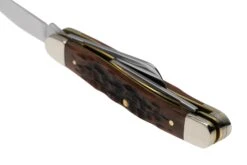 Case Medium Stockman Brown Bone, Peach Seed Jig, 42651, 6318 SS Taschenmesser -Böker || Spyderco || Cold Steel Verkaufsgeschäft CE42651 04 case