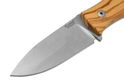 Lionsteel M4 Olive MagnaCut M4-MC-UL, Knivesandtools Exclusive, Feststehendes Messer -Böker || Spyderco || Cold Steel Verkaufsgeschäft LI M4 MC UL 03 lionsteel