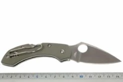 Spyderco Dragonfly G10 C28GPFG Taschenmesser, Foliage Grün -Böker || Spyderco || Cold Steel Verkaufsgeschäft SPC28GPFG 05 spyderco dragonfly2 foliage green spc28gpfg d5